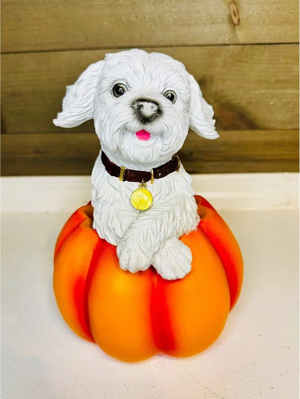 Fall Pumpkin Dog Figurine - Maltese Shih Tzu in Pumpkin Resin Decor 8